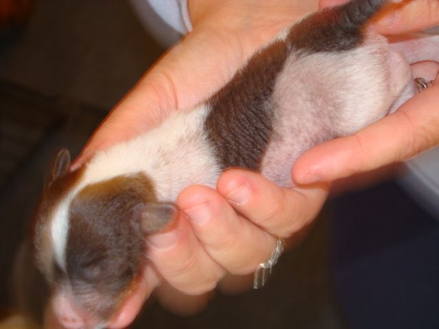 Picture