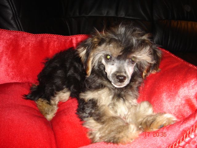 Babettka z Lubuskiej wsi