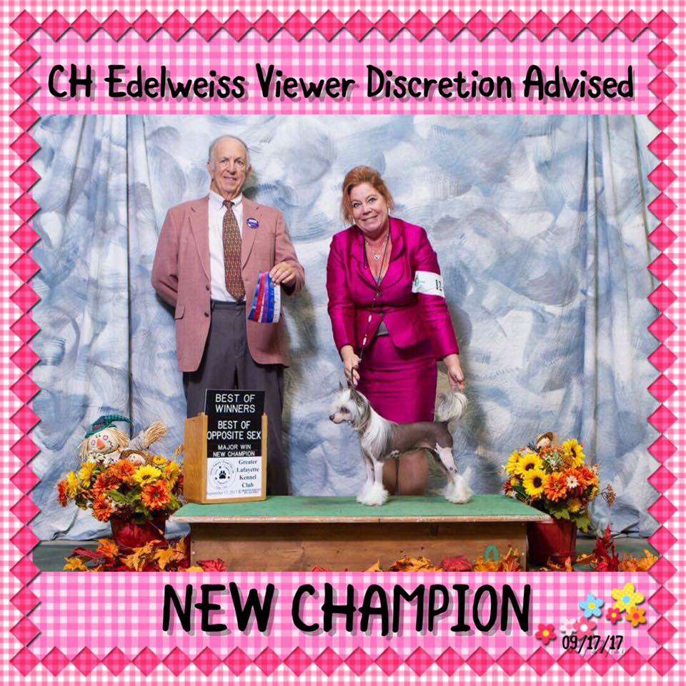 Edelweiss Viewer Discretion Advised