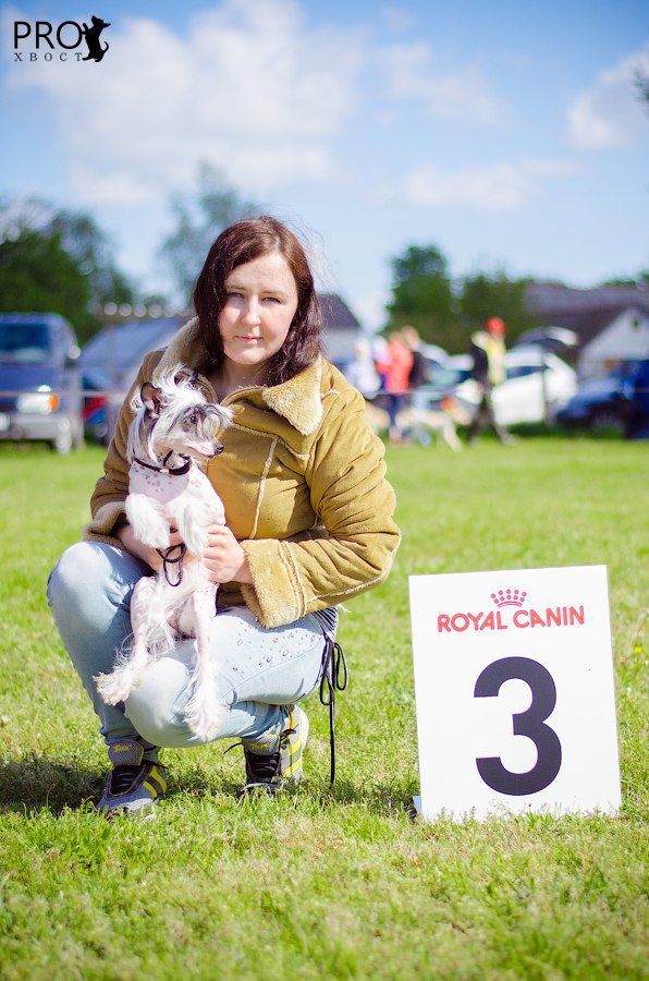 Montegro-Terri iz Sozvezdiya Khana