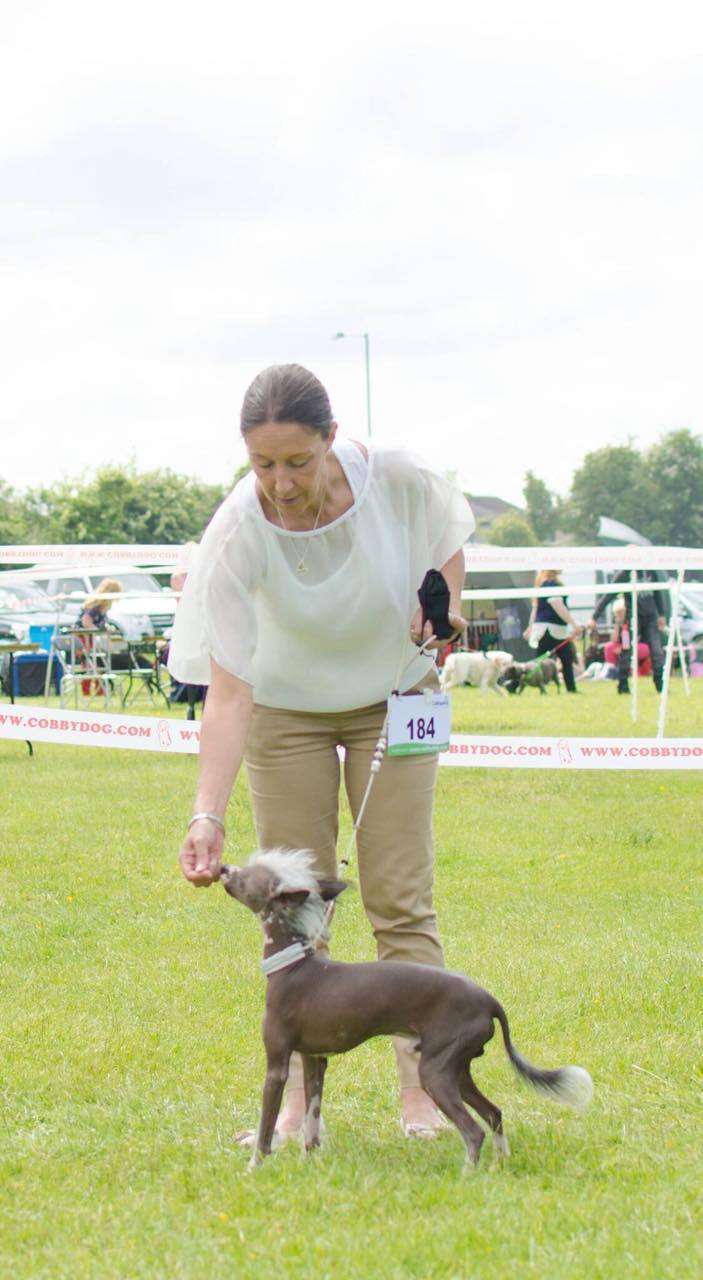 Matias Flor Miracolo Dell'anima Con UnAmor