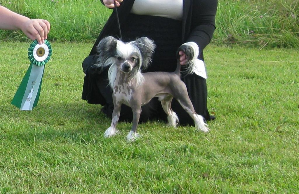 Sea Fire's Quite A Legend