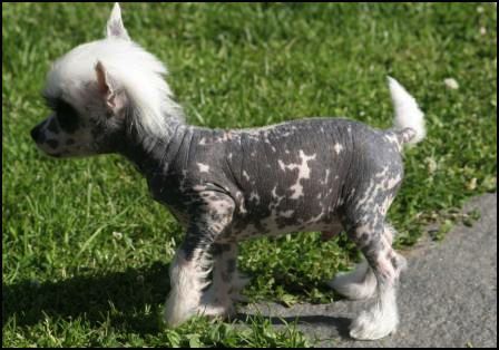 House Of Fun's Give It To Me