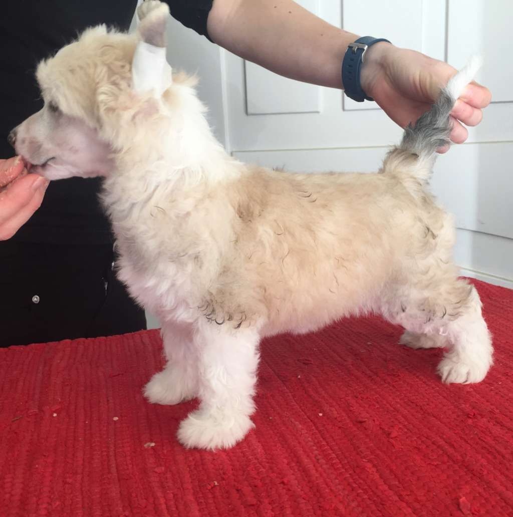 Moelmo's Wrapped In Success