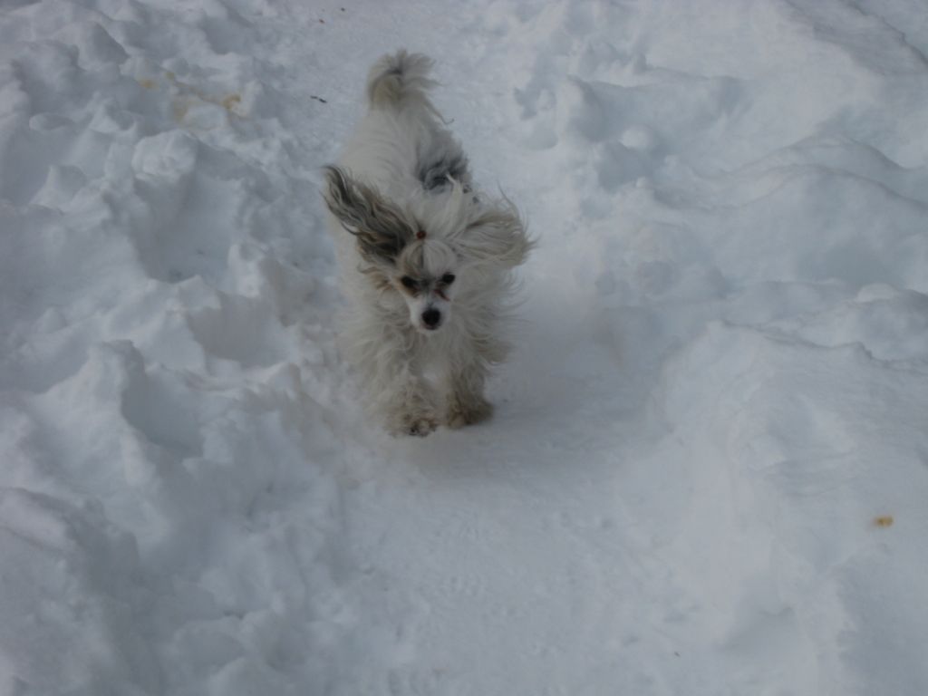 Dragon Moon Fantasy World