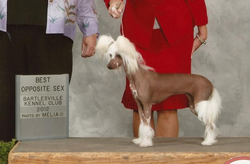 Carrera's Twisted Teardrop