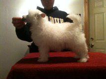 Sonador's I'm Kind Of A BIg Deal