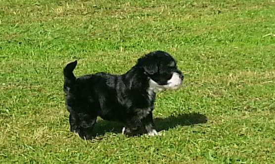 Andrakebyn's Aishwarya Rai