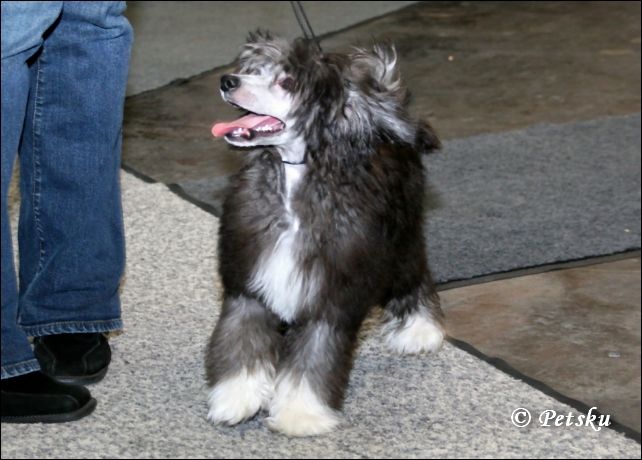 Chattanooga's So What