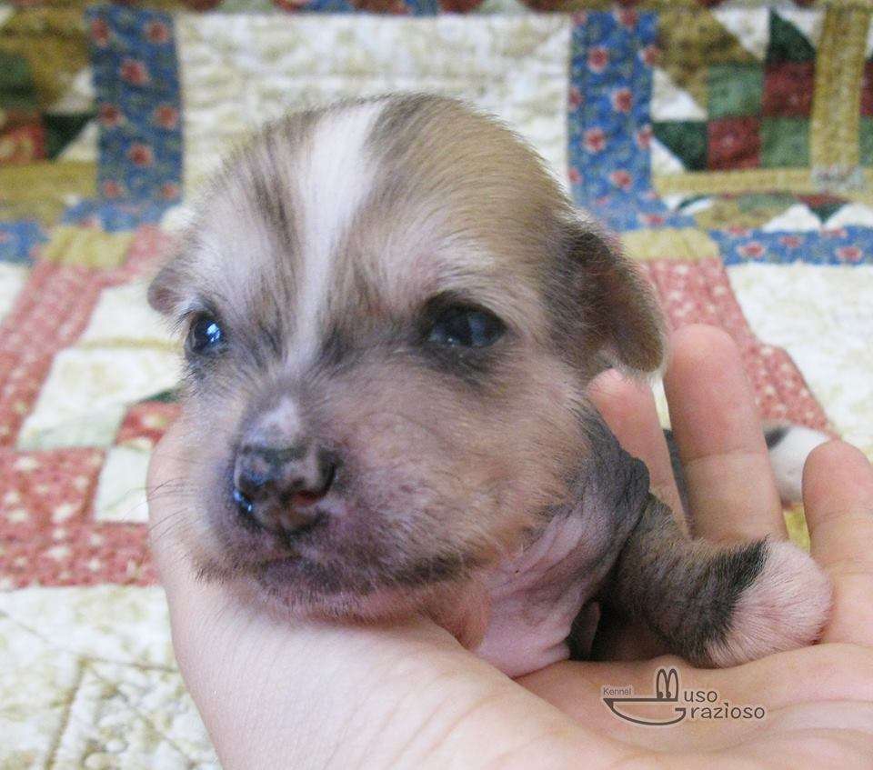Picture