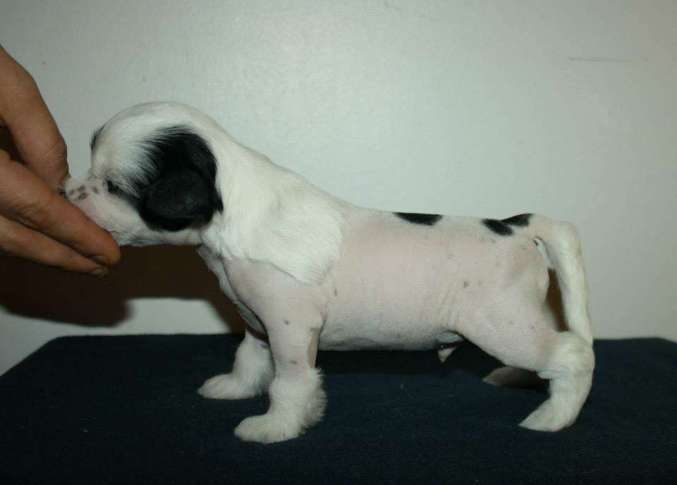 Valanyan In High Spirits