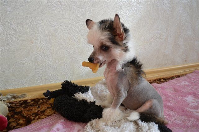 Picture