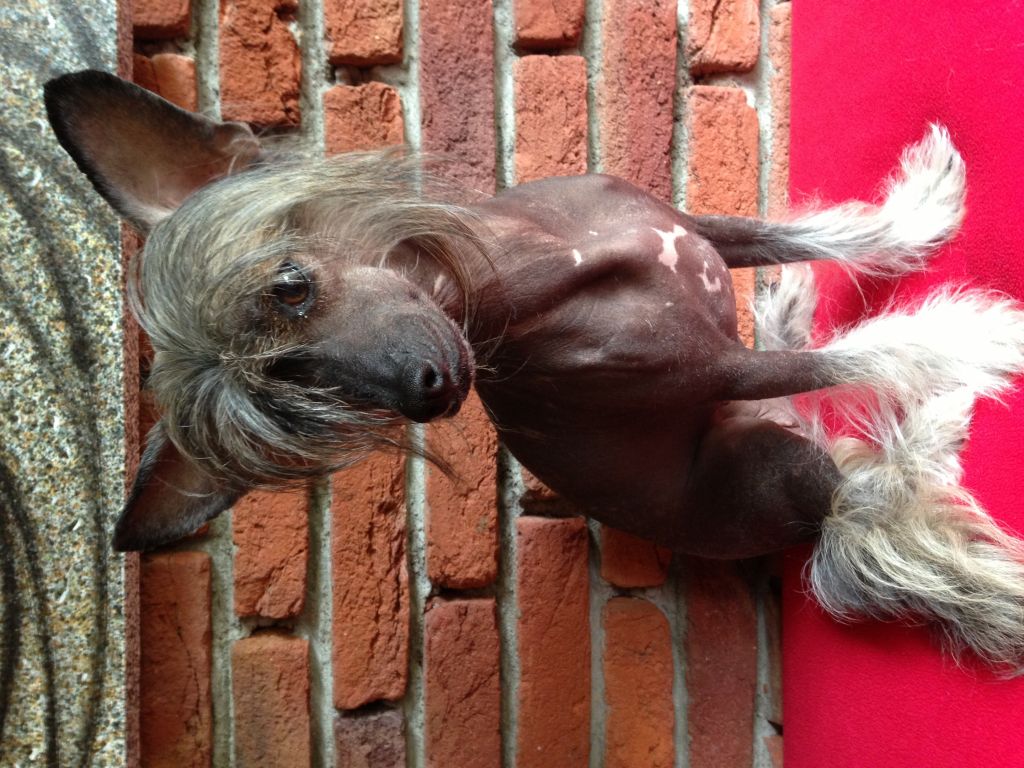 Picture