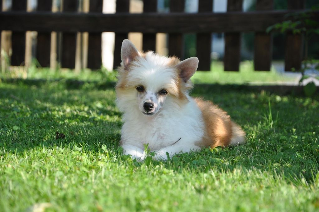 Aytekin Makes of Magic