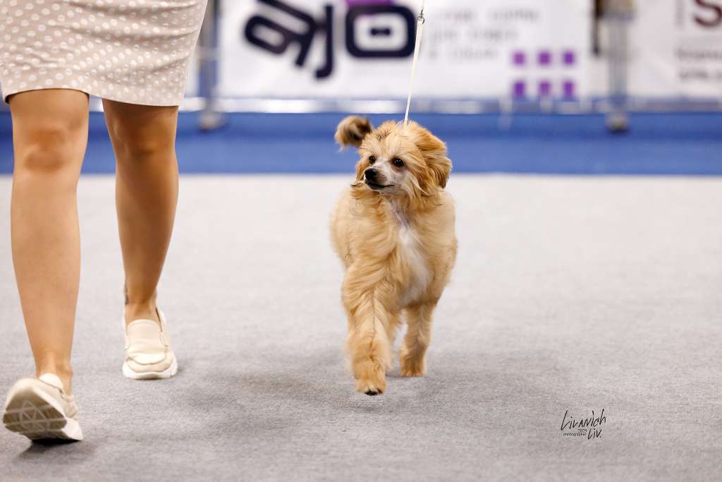 Rolana Family Charodeyka