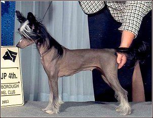 Expression-Elvira Bodeswell