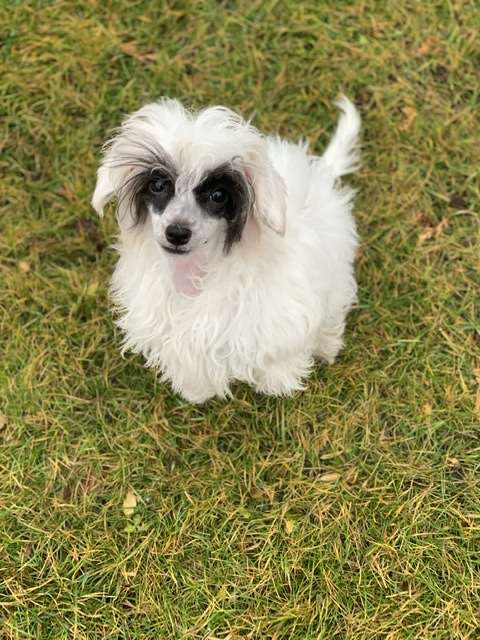 AkDeniz All For Love