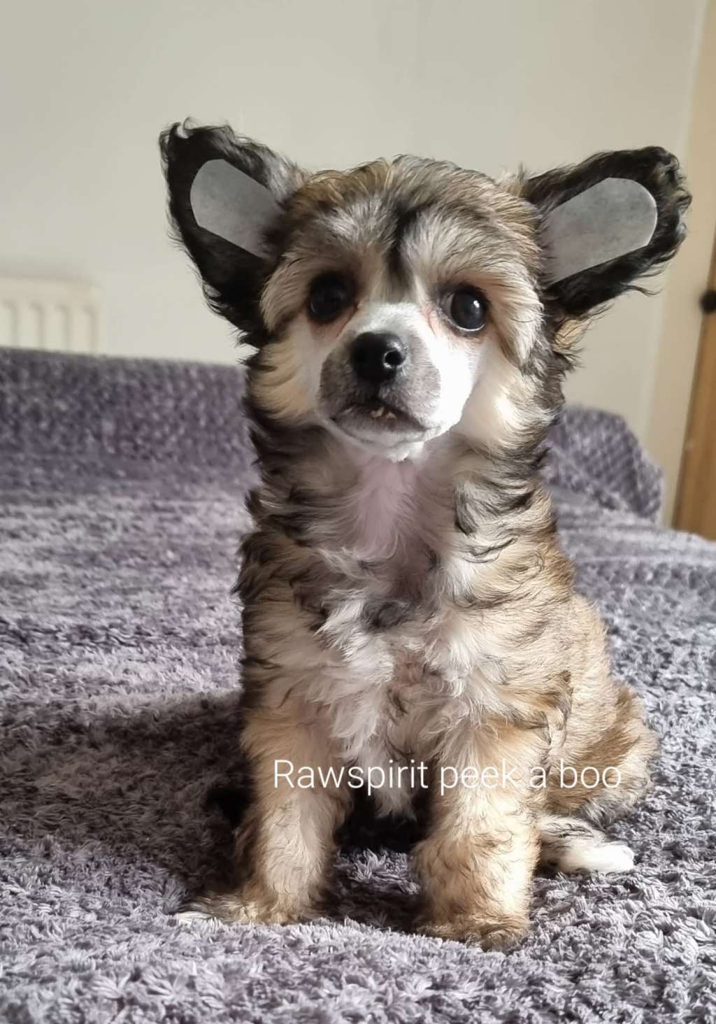 Rawspirit Peek A Boo