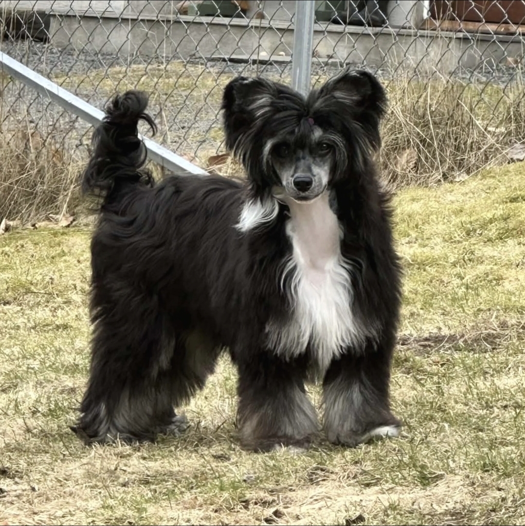 EXxiino's Hot Flight To Havana