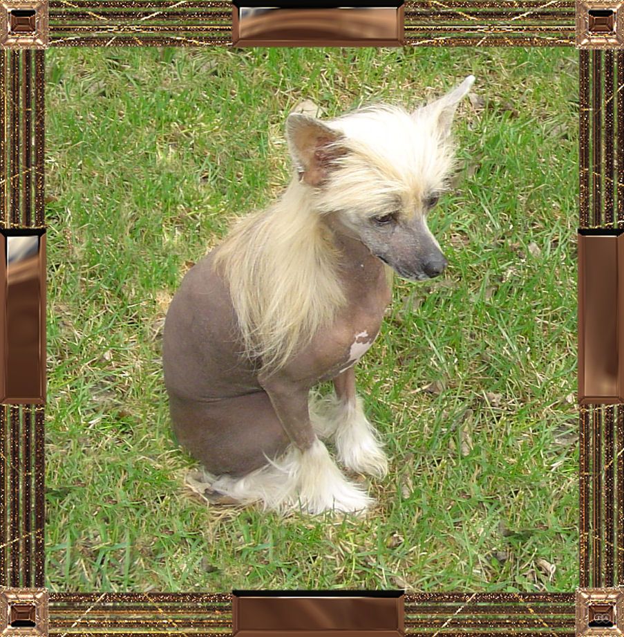 Outlaw's Pony Express