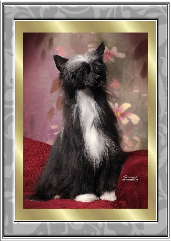 Jewels Lunar Eclipse