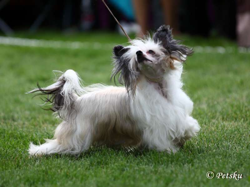 Chattanooga's Heinähattu