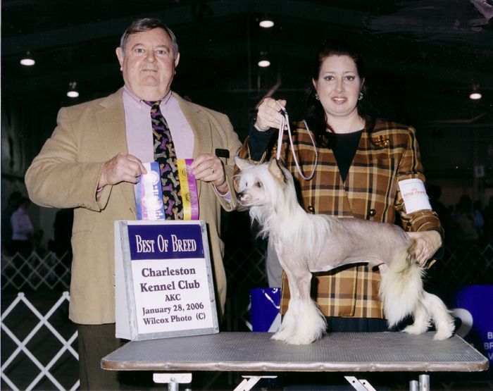 ParaDice's Devils Advocate