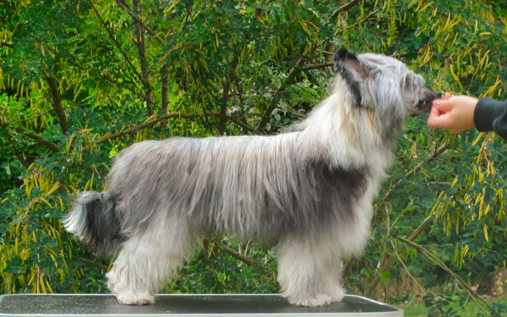 Sukansyöjän Benjamin Button