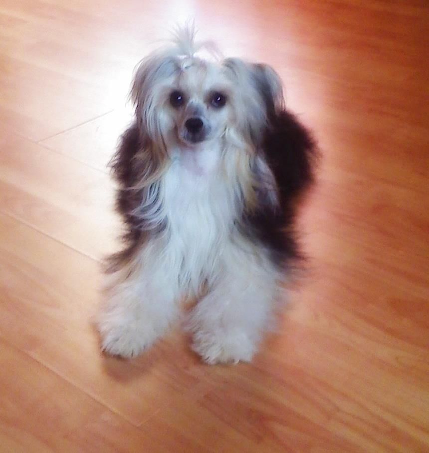 Fundoklia-völgyi Kaszanics N'Aida