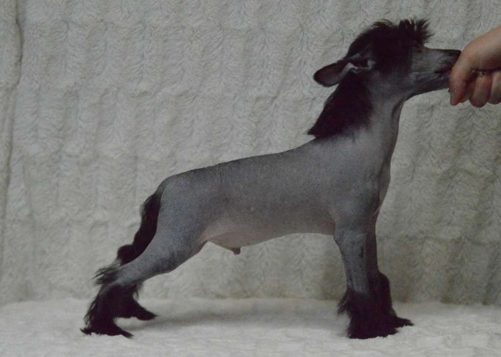 Kaitlin Anniversary Dreamy Dude