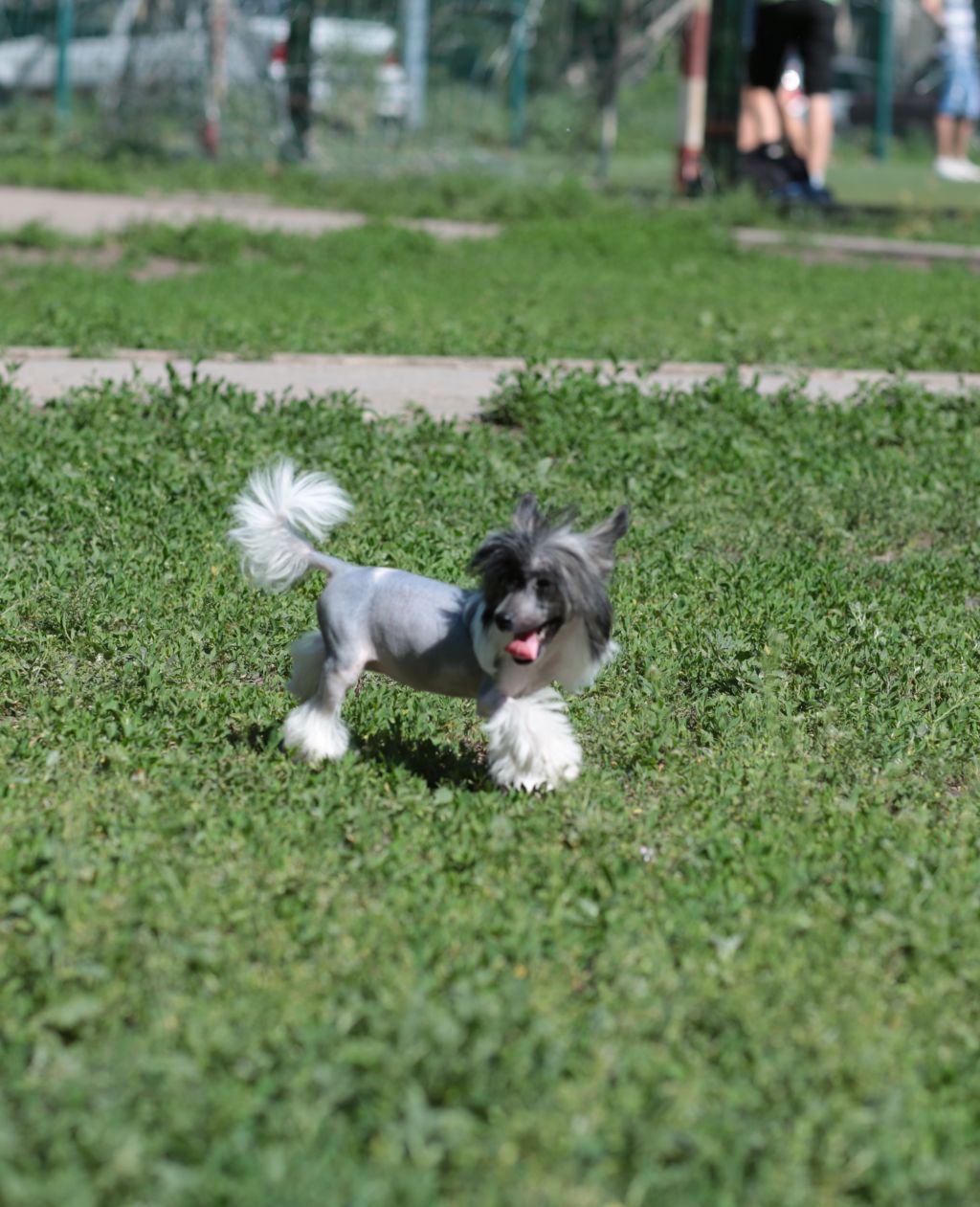 Galser Bailey Moon Goddess