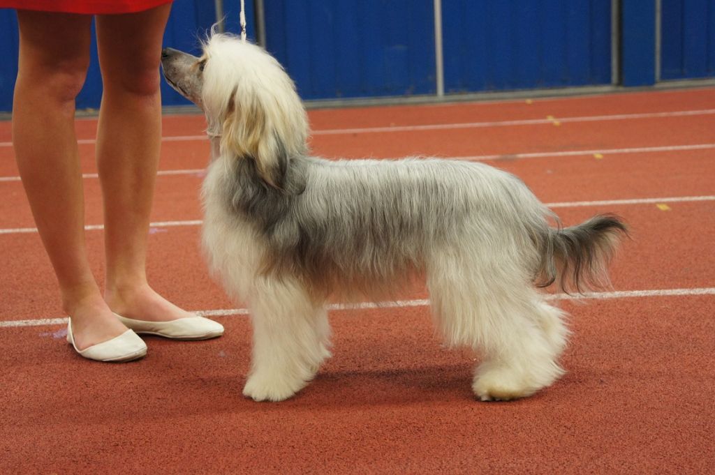 Ying Yang's Billie Jean