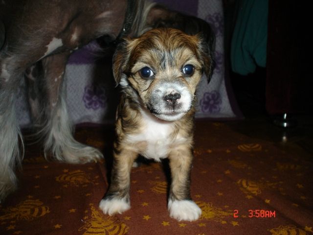 Picture