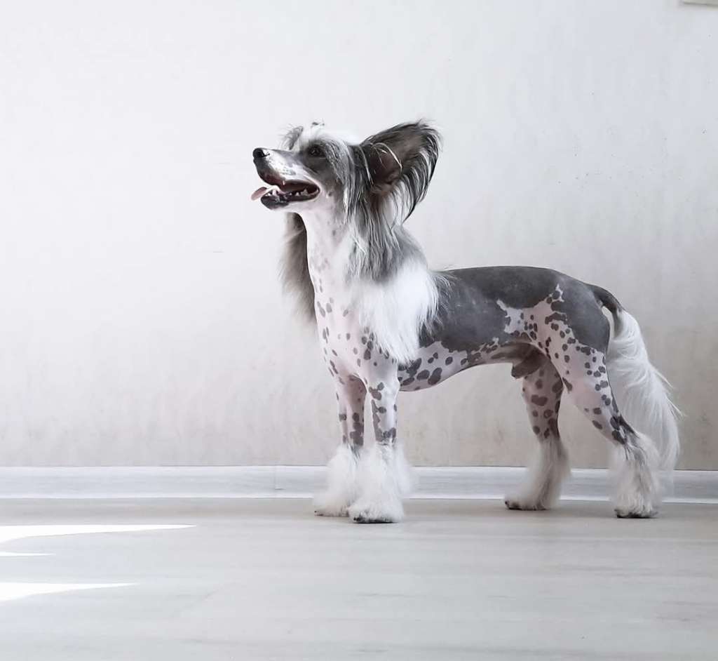 Art Rebellion Bottoms Up