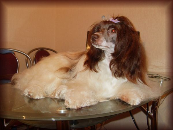 Bi-lav Plus Osenniy Potseluy