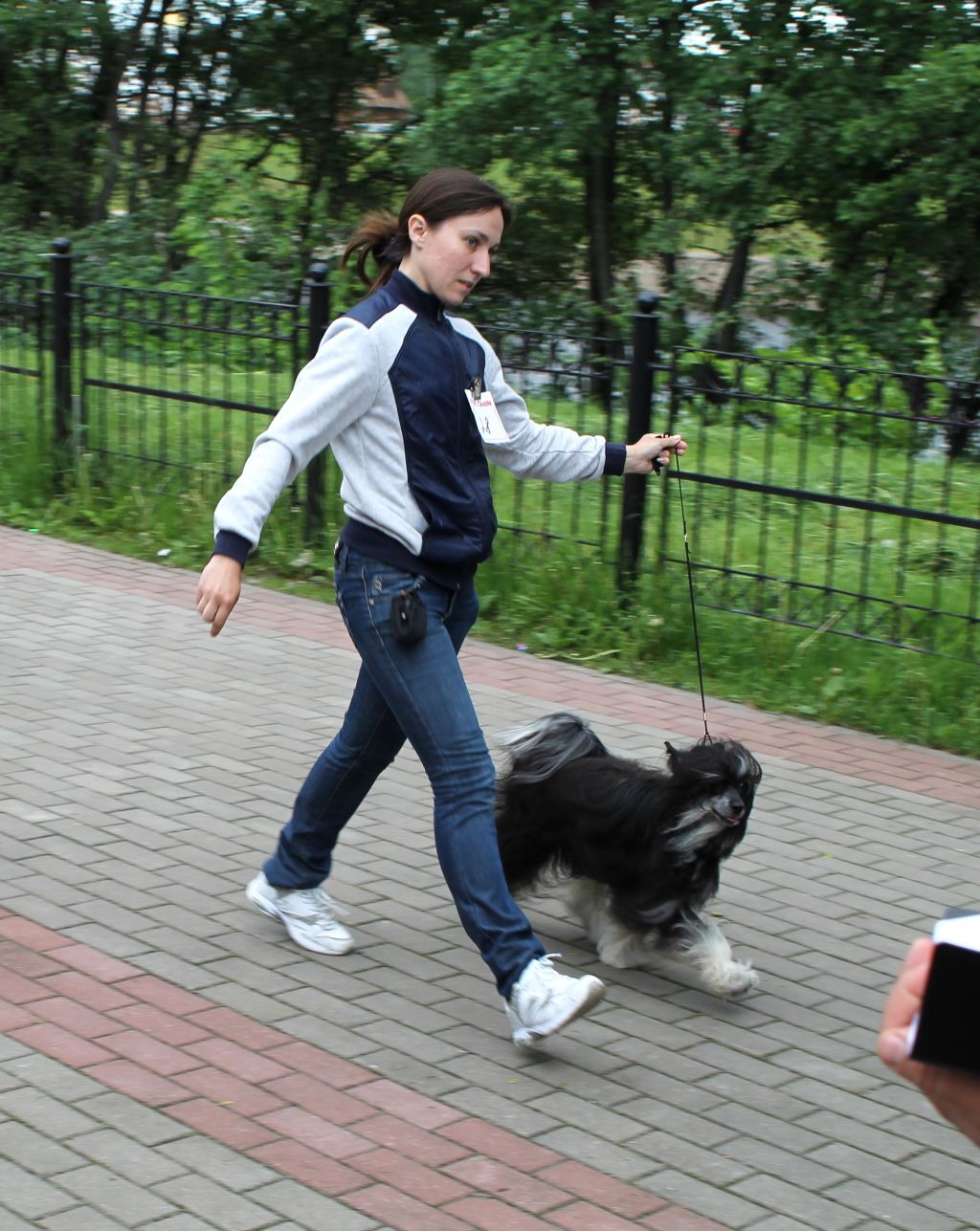 Magnet Success Black King