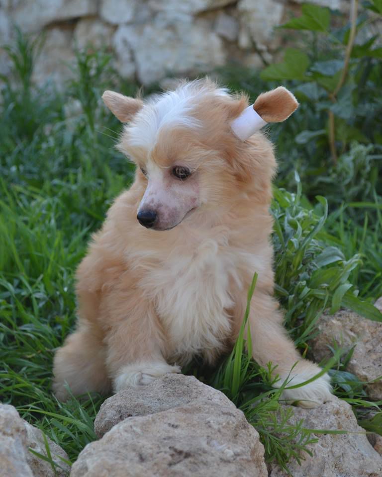 Russia-My Love of Fame Cities