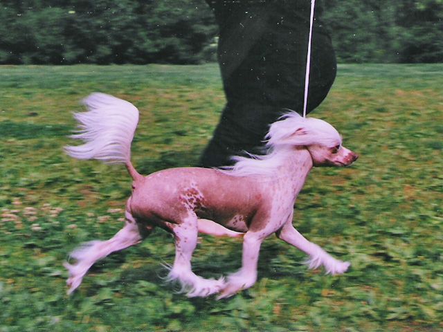 Picture