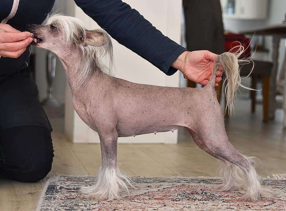 Jean Dark Queen of Rain