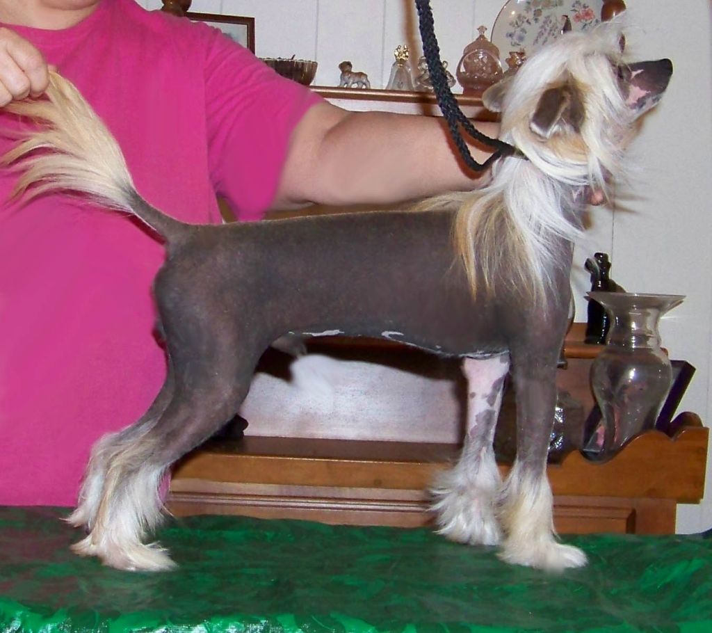 Spiritual Tempting Fate