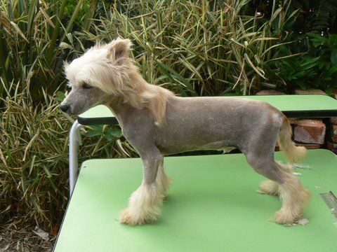 doucai's Man In Hand