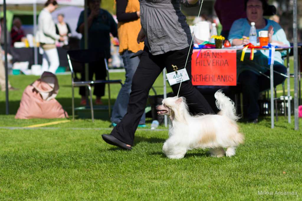 Zhannel's Candy Kiss