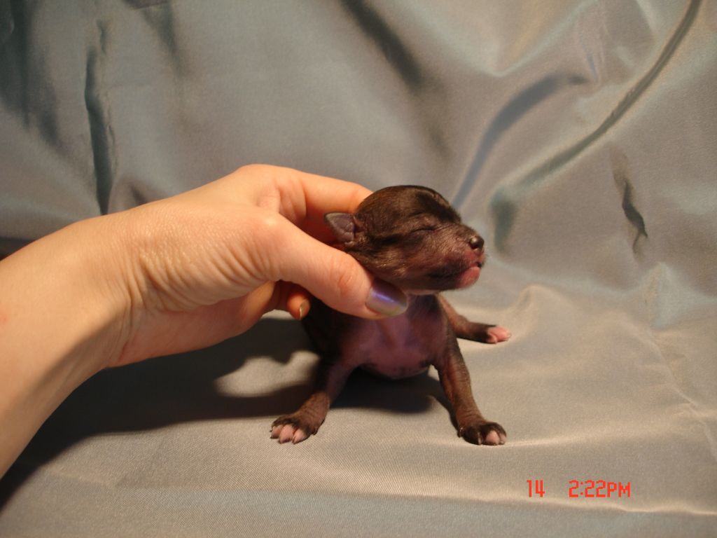 Picture