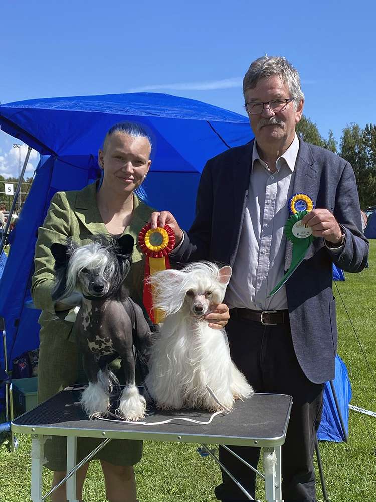 Jean Dark November Rain