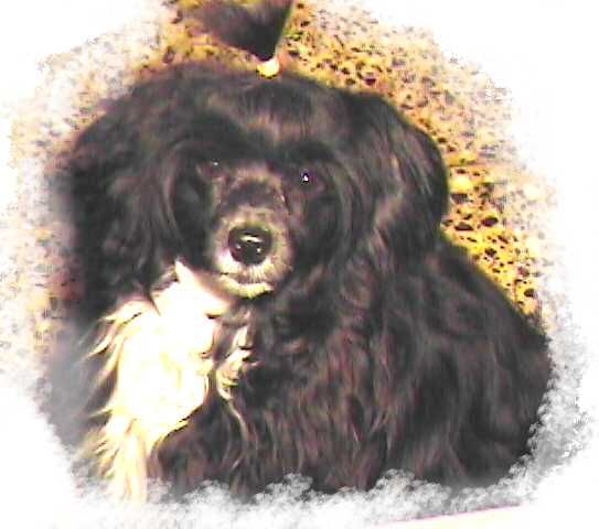 Gema Azabache Caricias