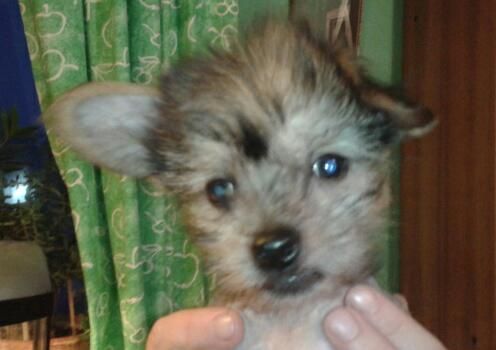 Wild At Hardt Naked Truth