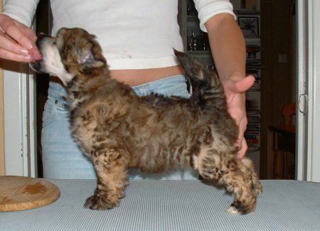 Sun-Hee's Untouchable