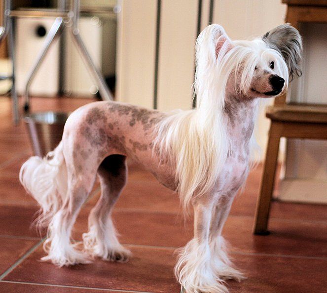 Lisar's Ps I Love You