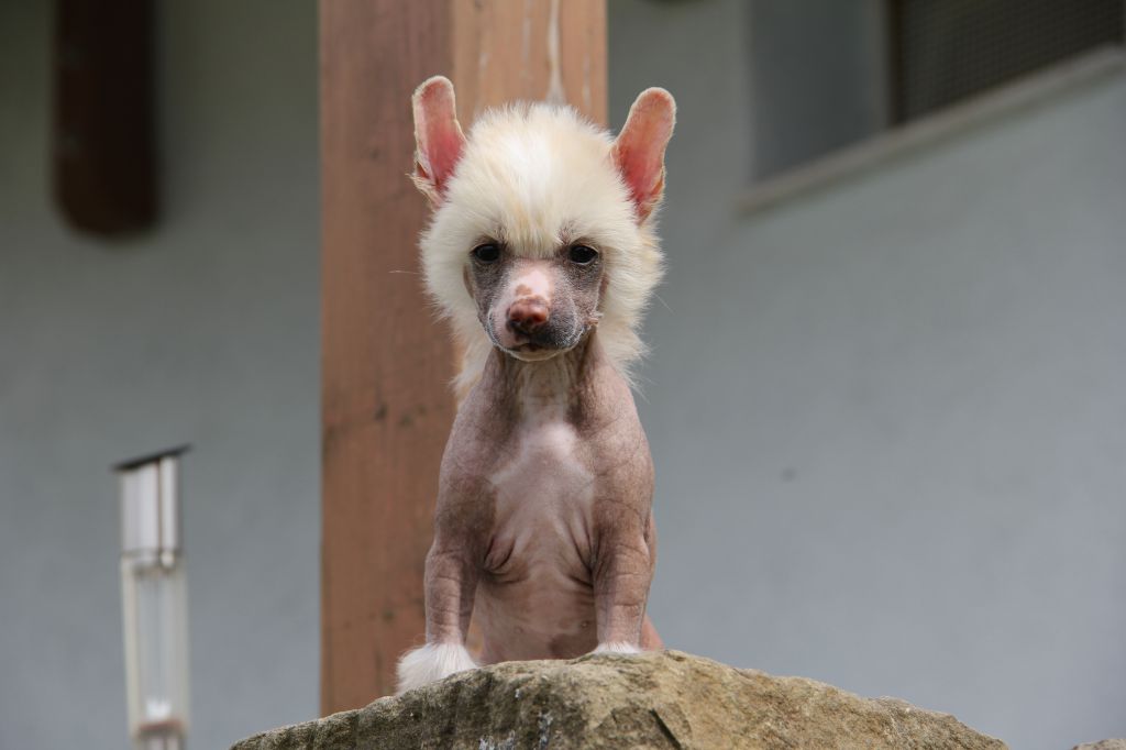 Felici Amici A Giorgio Armani