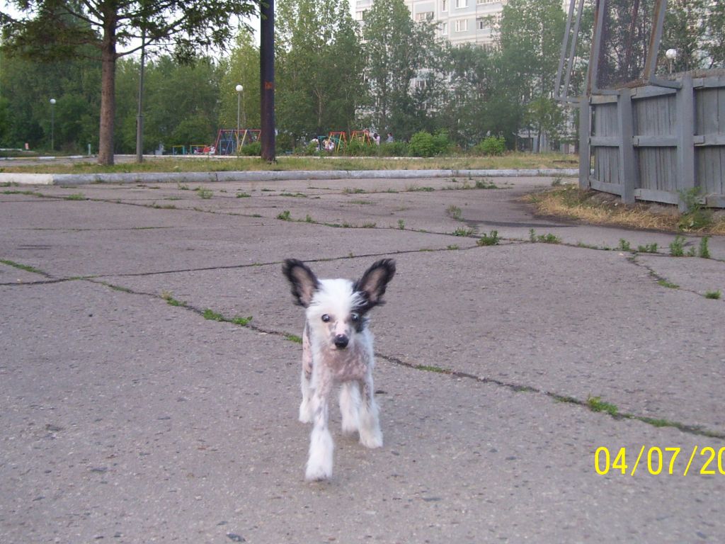 Picture